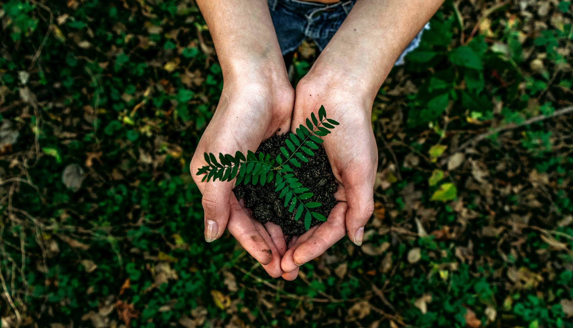 Planting ideas and seeds of change