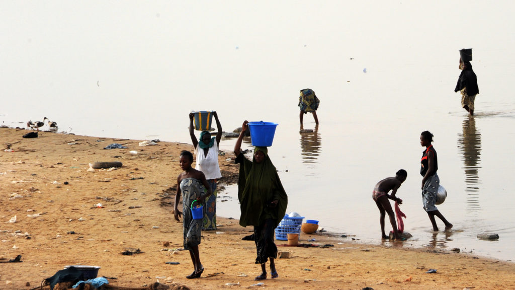 Niger’s Defeat of River Blindness 