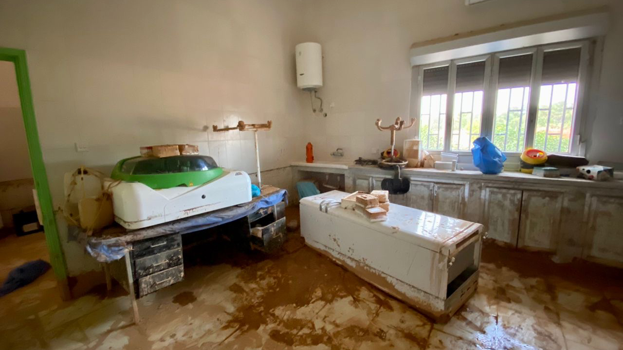 WHO Helps to Restore Health Services in Flood-Hit Libya