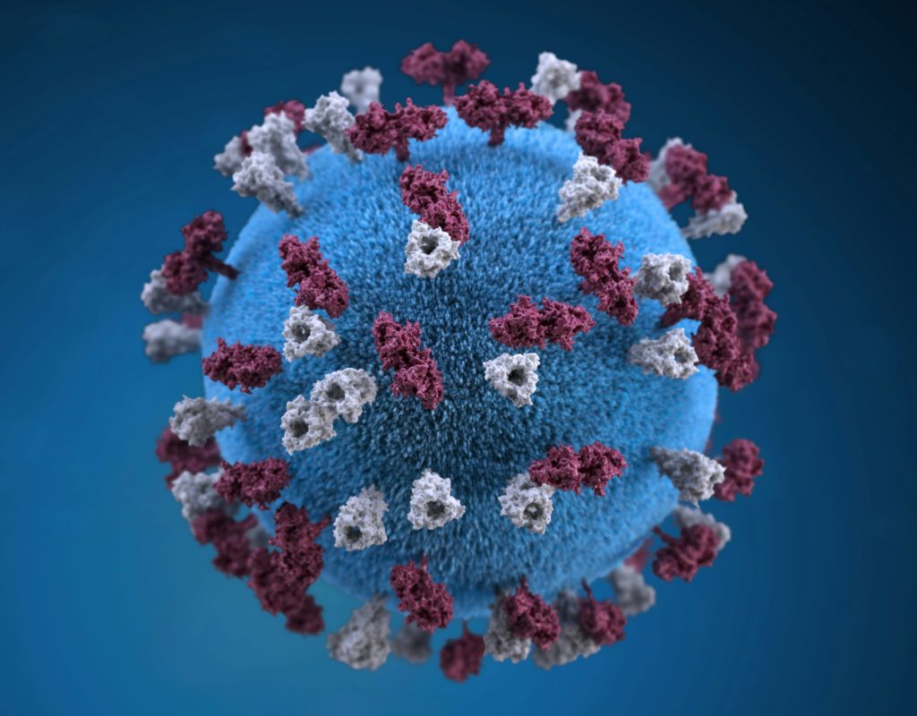 What Does it Take to Track and Tame Measles Outbreaks?